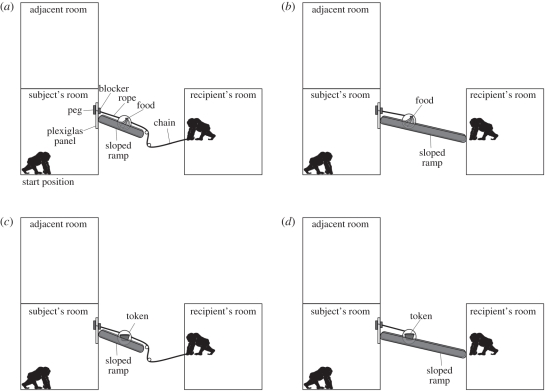 Figure 1.