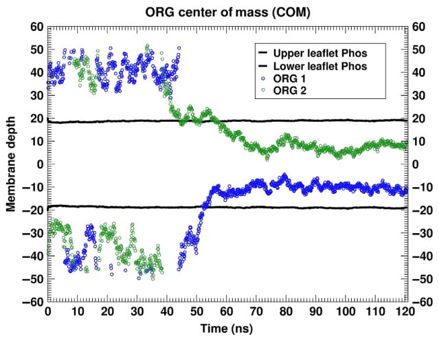 Fig. 10