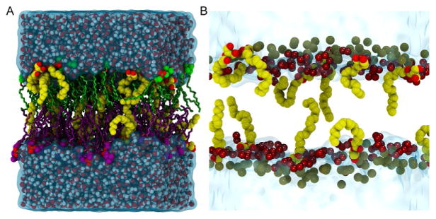 Fig. 2