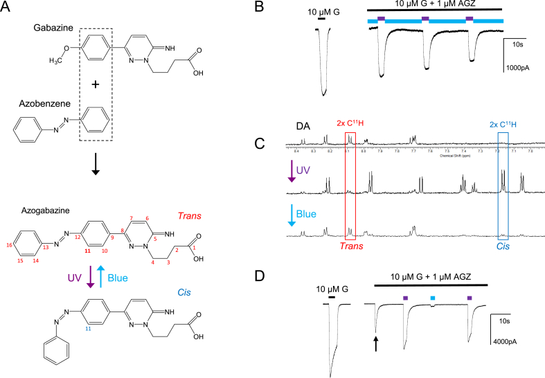 Fig. 1