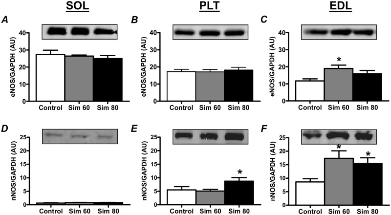 Fig 8