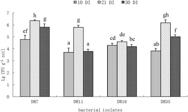 FIGURE 4