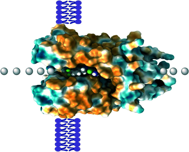 graphic file with name d0md00328j-ga.jpg