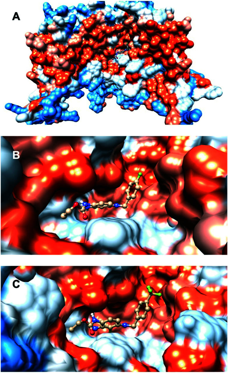 Fig. 7