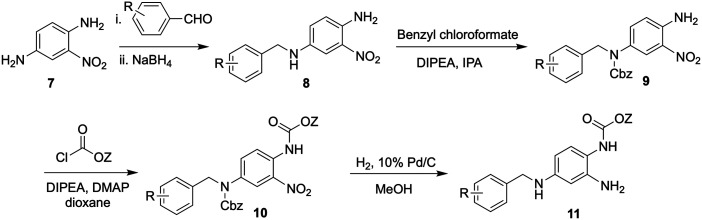 Scheme 2