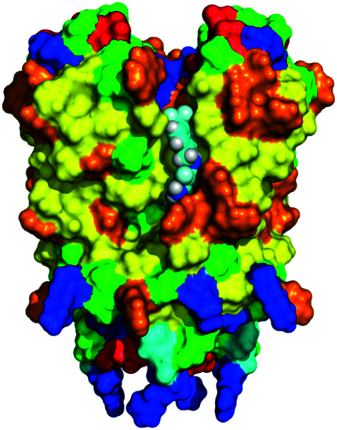 Fig. 6