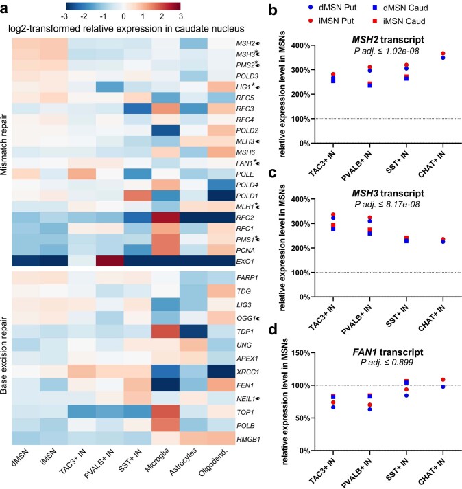 Extended Data Fig. 4