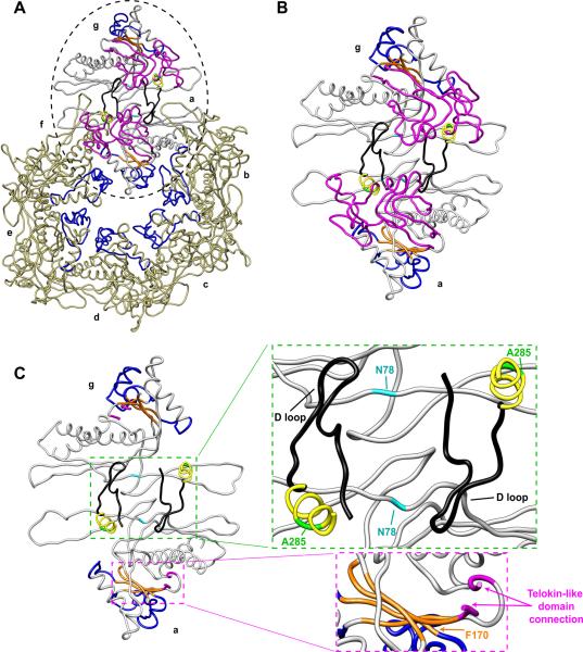 Figure 10