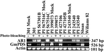 Fig. 4