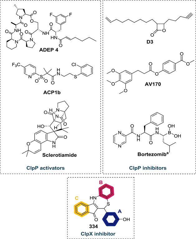 Figure 1.