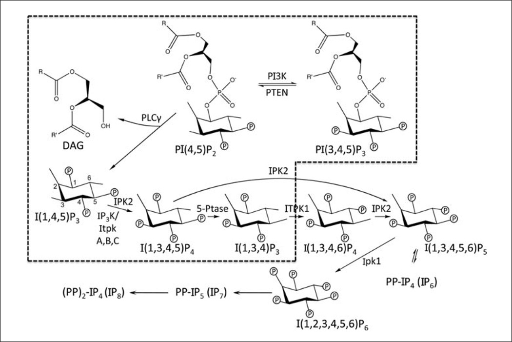 Figure 11.1.1