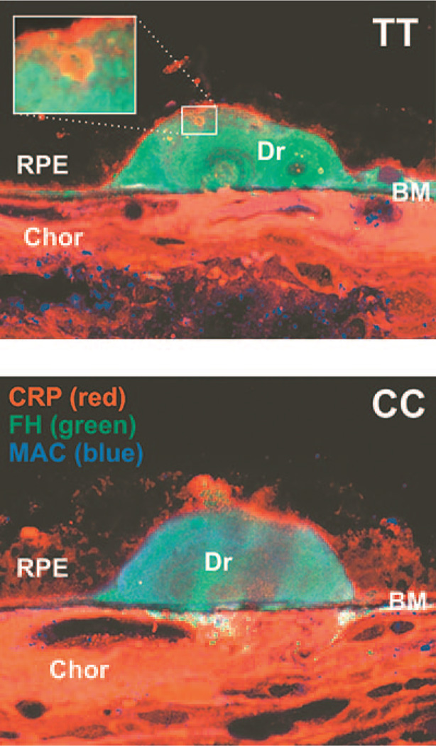 FIGURE 2