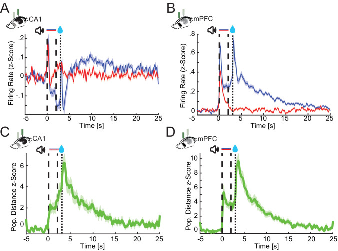 Figure 3—figure supplement 1.