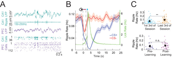 Figure 5—figure supplement 2.