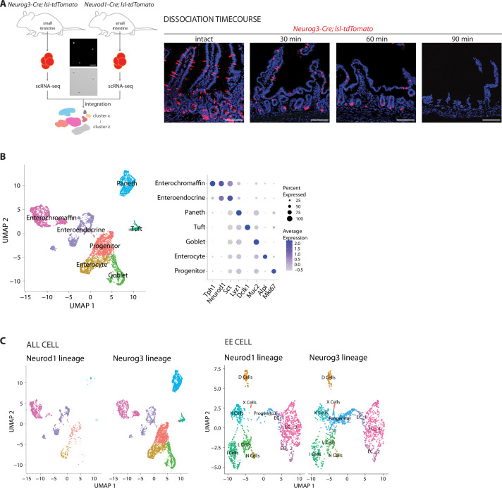 Figure 2—figure supplement 1.