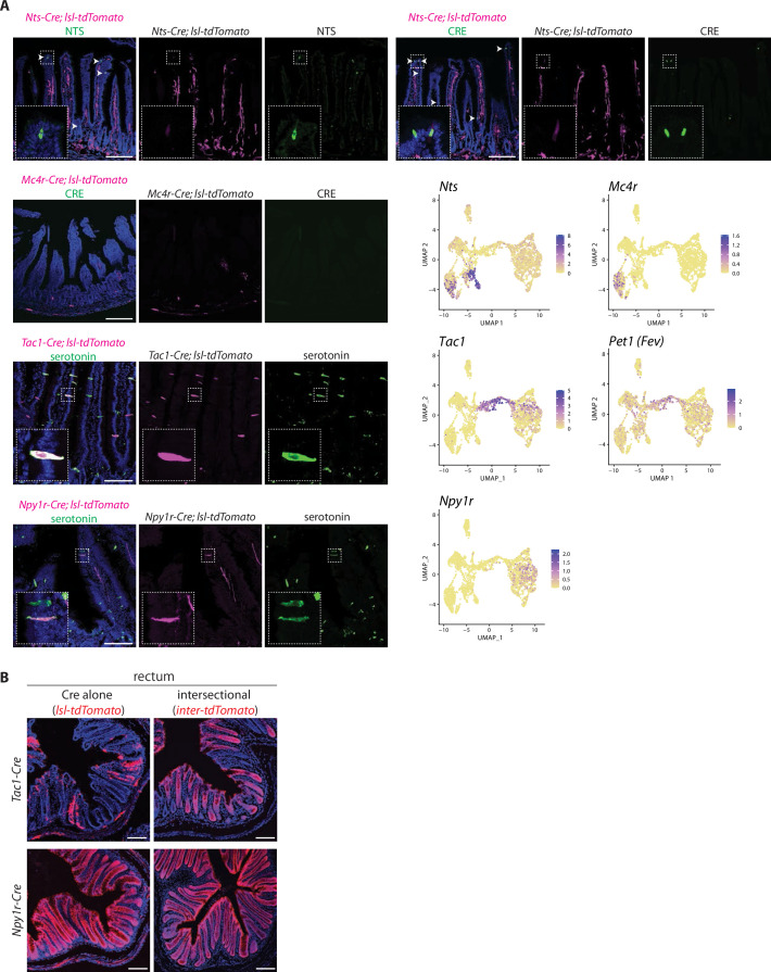 Figure 3—figure supplement 3.