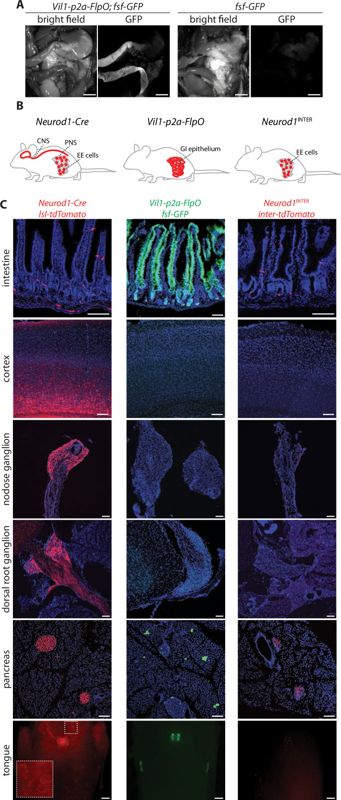 Figure 1.