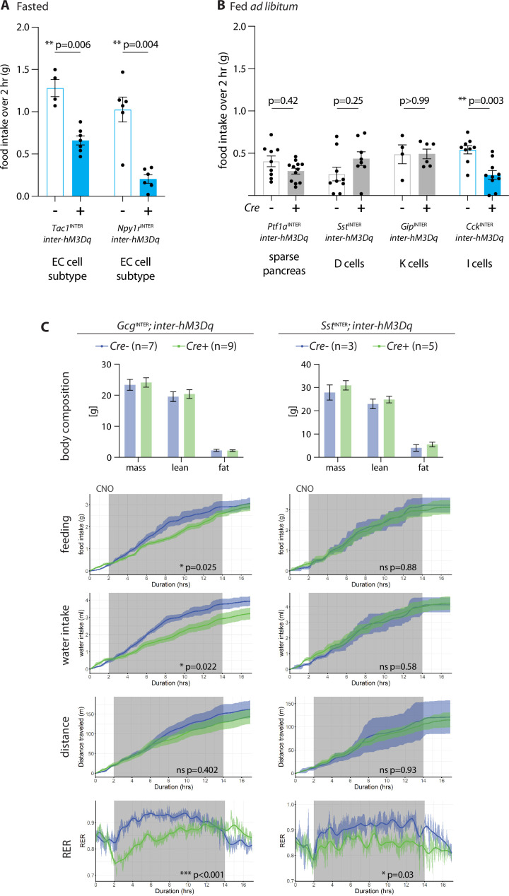 Figure 5—figure supplement 1.