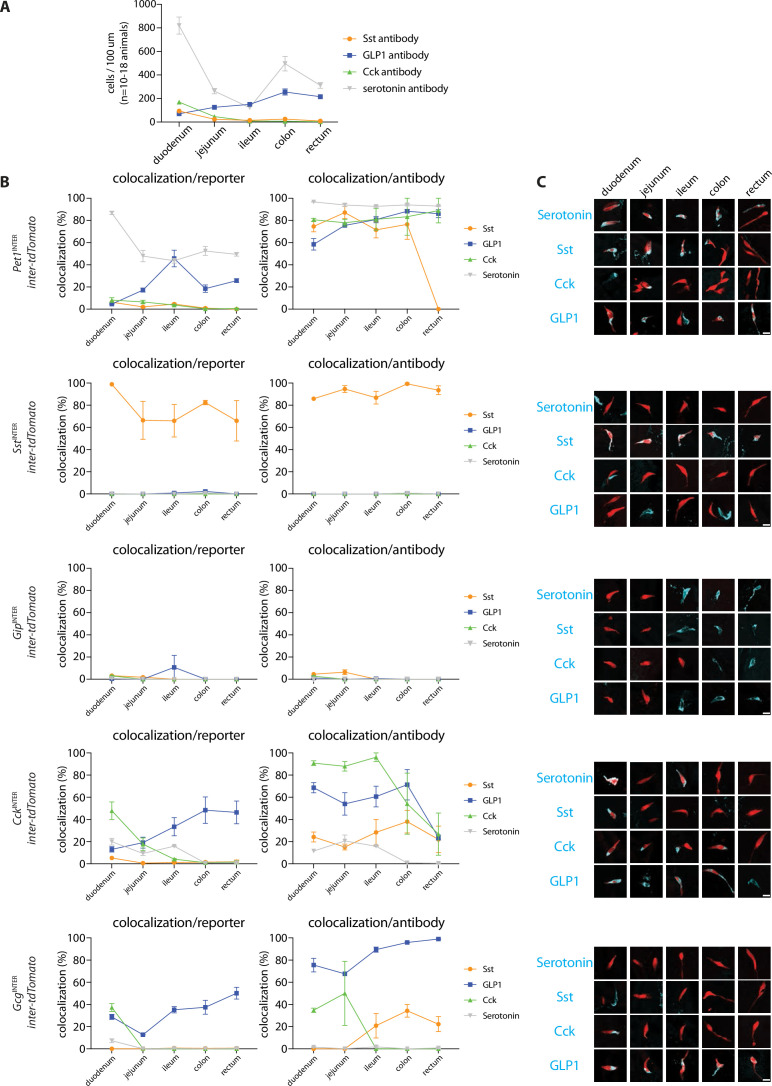 Figure 3—figure supplement 4.