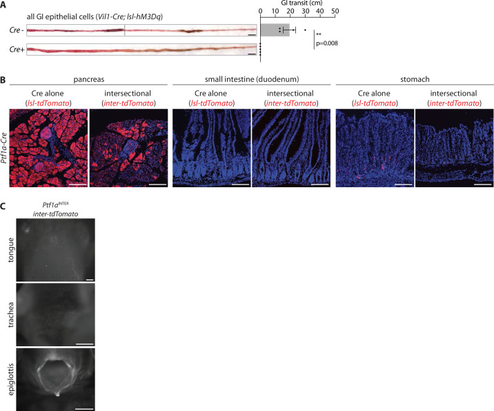 Figure 4—figure supplement 1.