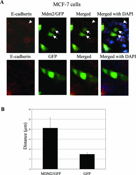 FIG.4.