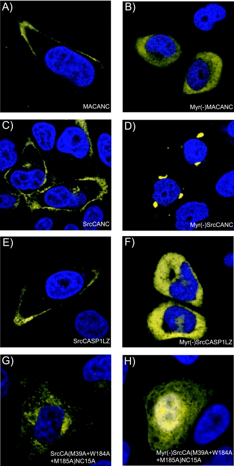 FIG. 7.