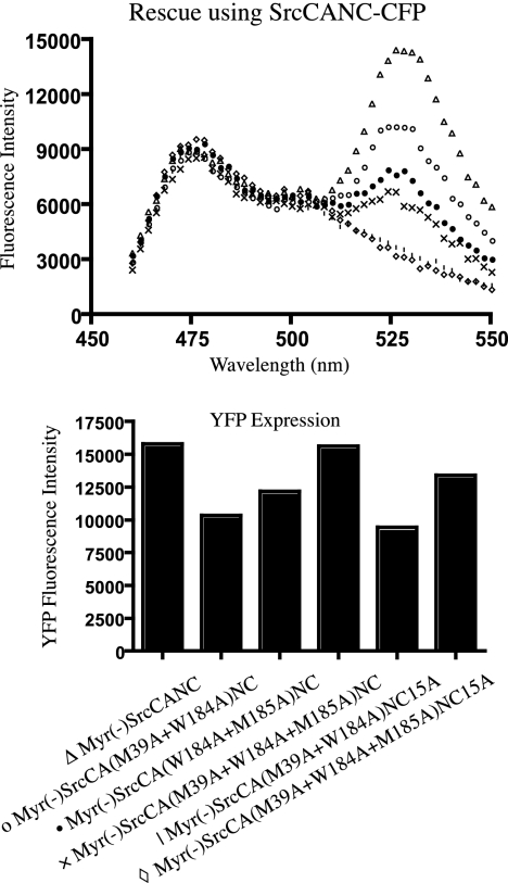 FIG. 6.