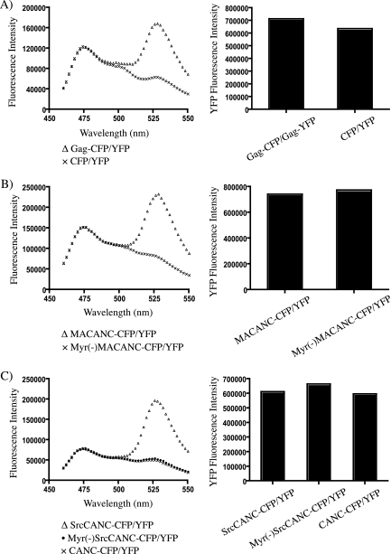 FIG. 2.