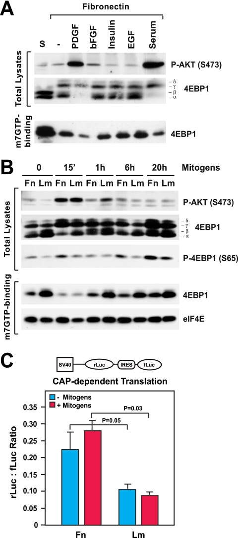 FIG. 1.