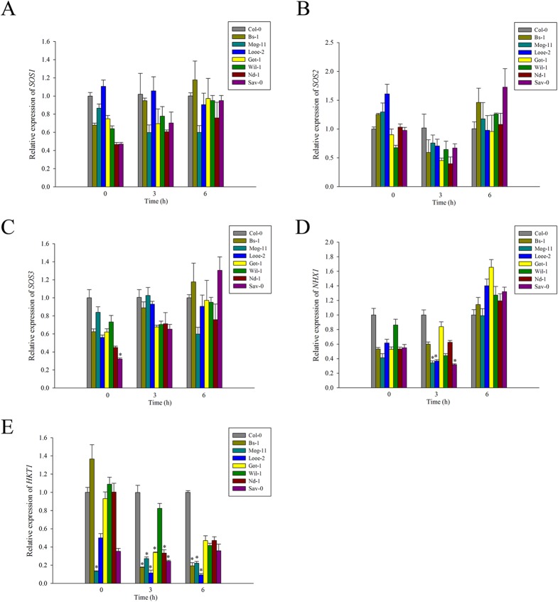 Fig 4