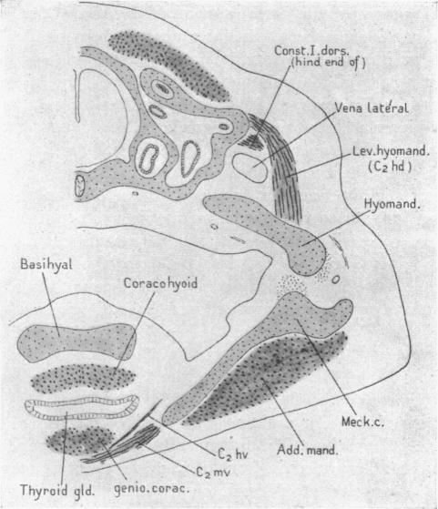 Fig. 23
