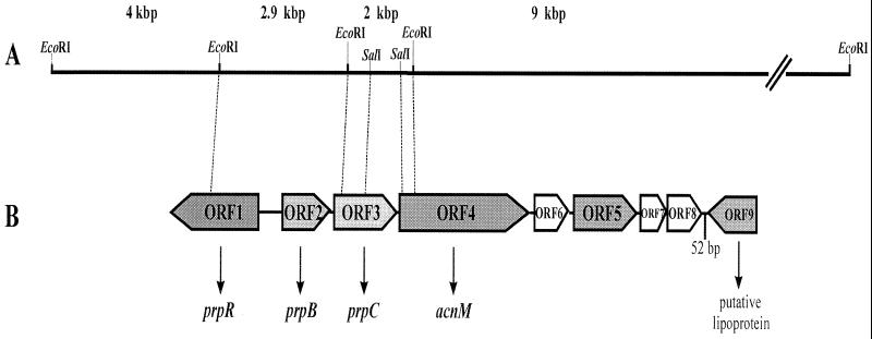 FIG. 2.