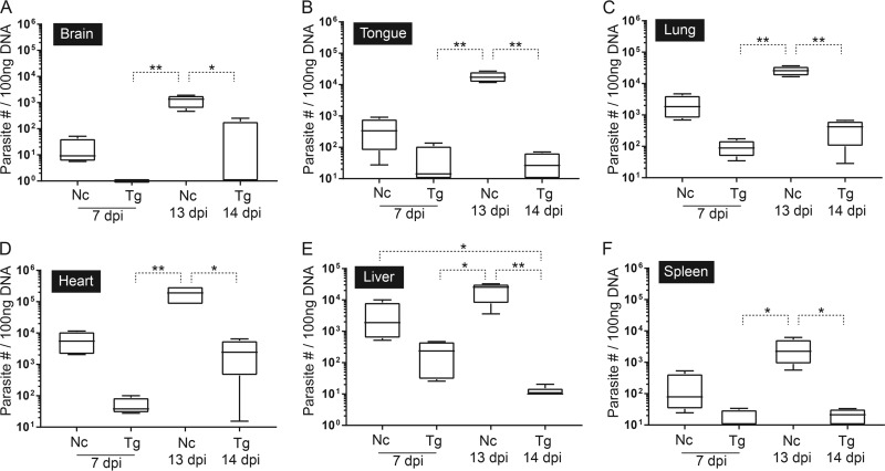 FIG 4