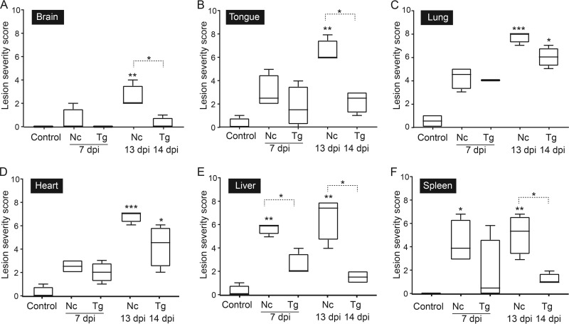 FIG 3