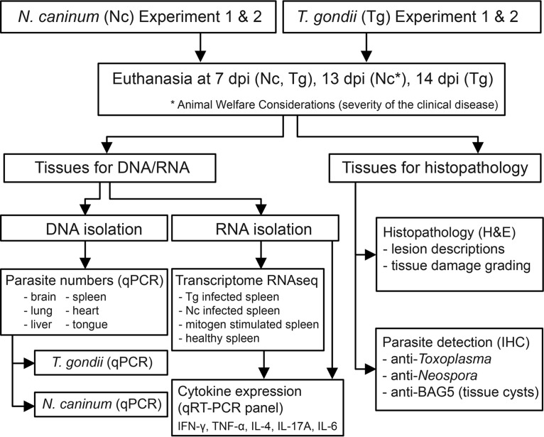 FIG 1