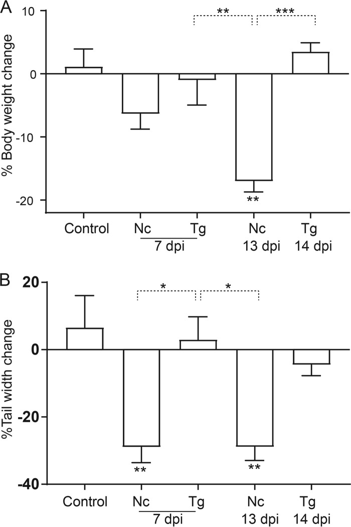 FIG 2