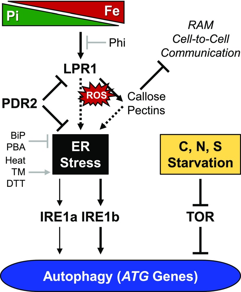 Figure 10.