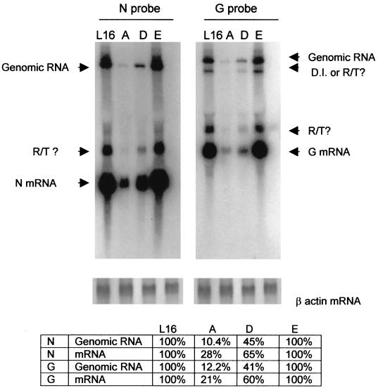 FIG. 5.