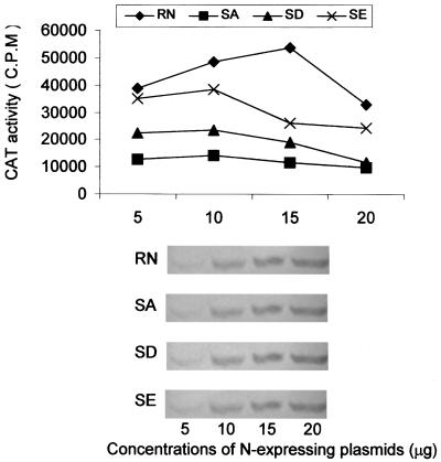 FIG. 2.