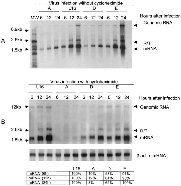 FIG. 6.