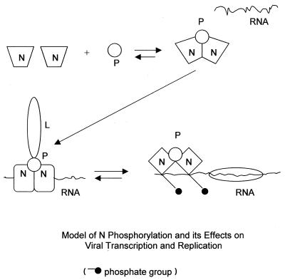 FIG. 8.