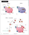 Fig. 3