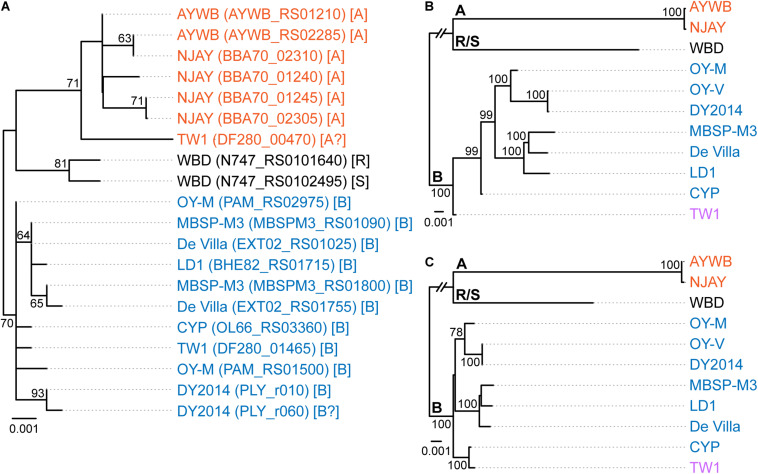 FIGURE 1