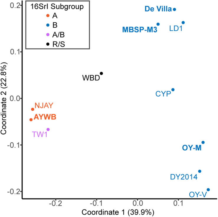 FIGURE 4