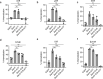 Figure 4—figure supplement 1.