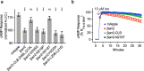 Figure 5—figure supplement 1.