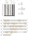 Figure 2—figure supplement 1.