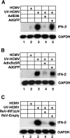 FIG. 1.