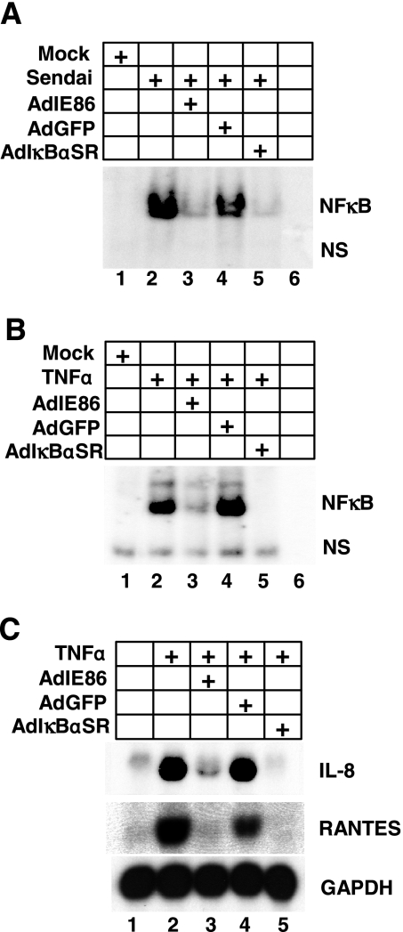 FIG. 6.