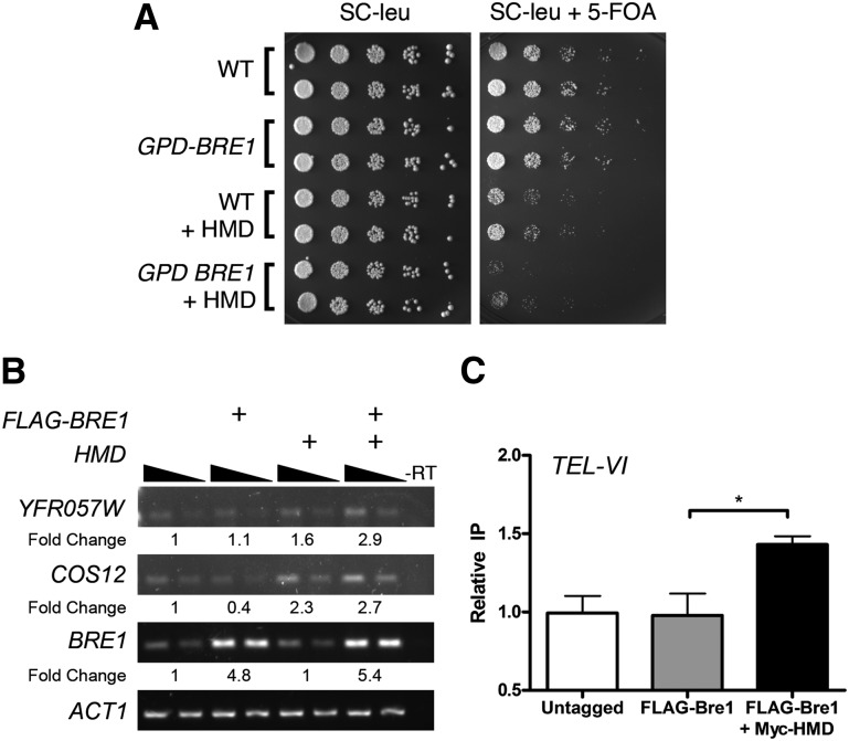 Figure 4.